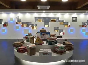 從小紙箱廠到行業航母，軟件開發何以成為老板獲國家肯定的關鍵引擎